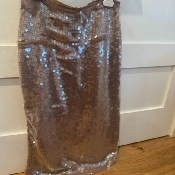 Madewell Sequin Skirt - Picture 9 of 13